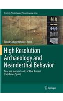 High Resolution Archaeology and Neanderthal Behavior