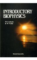 Introductory Biophysics