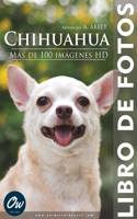 Chihuahua: Libro de fotos - Más de 100 imágenes HD