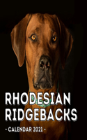 Rhodesian Ridgebacks Calendar 2021