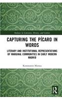 Capturing the Picaro in Words: Literary and Institutional Representations of Marginal Communities in Early Modern Madrid