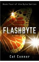 Flashbyte