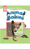 Animal Babies