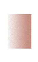 Christian Lacroix Blush A5 8" X 6" Ombre Paseo Notebook