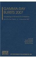 Gamma-Ray Bursts 2007