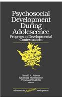 Psychosocial Development During Adolescence