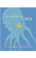 The Anatomy of the Sea