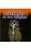 Animals of the Night