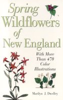 Spring Wildflowers of New England
