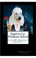Pudel & Cie. Problems Solved