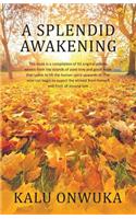 Splendid awakening
