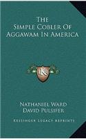 The Simple Cobler of Aggawam in America