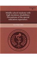 Middle School Students with High Incidence Disabilities: Perceptions of the Special Education Experience