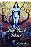 My Poet Soul