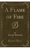 A Flame of Fire (Classic Reprint)