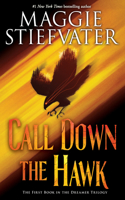 Call Down the Hawk (the Dreamer Trilogy, Book 1): Volume 1(1 Dreamer Trilogy)