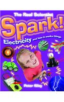 Spark-Electricity and How It Works