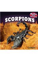 Scorpions: (Monsters of the Animal Kingdom)