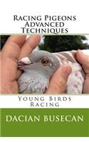 Racing Pigeons Advanced Techniques