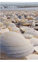 White Shells Journal