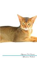 Abyssinian Cat Affirmations Workbook Abyssinian Cat Presents: Positive and Loving Affirmations Workbook. Includes: Mentoring Questions, Guidance, Supporting You.
