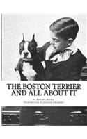 Boston Terrier and All About It