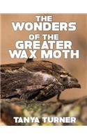 Greater Wax Moth: Do Your Kids Know This? A Children's Picture Book