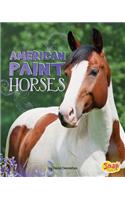 American Paint Horses