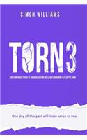 Torn 3