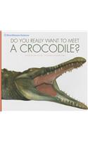 Dyrwtm Wild Animals Classroom Collection (1 Each of 6)