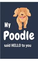 My Poodle said HELLO to you