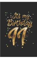 It's My Birthday 11: Dotted Bullet Notebook (6" x 9" - 120 pages) Birthday Themed Notebook for Daily Journal, Diary, and Gift