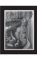 Left Kidney In Situ Notebook