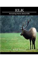 Amazing Facts about Elk