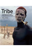 Tribe