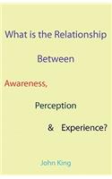What is the Relationship Between Awareness, Perception & Experience?