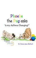 Phoebe the Pug asks, 