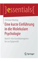 Eine Kurze Einführung in Die Molekulare Psychologie