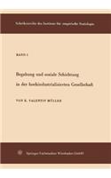 Begabung Und Soziale Schichtung in Der Hochindustrialisierten Gesellschaft