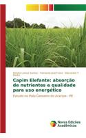 Capim Elefante