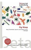 Fig Wasp