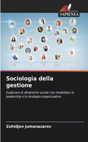 Sociologia della gestione