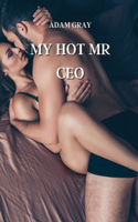 My Hot MR CEO