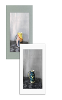 Joel Meyerowitz: Cézanne's Objects