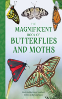 Magnificent Book of Butterflies and Moths