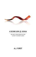 Second Look @ Joshua