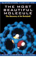 The Most Beautiful Molecule: The Discovery of the Buckyball(English)