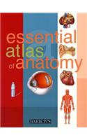 Essential Atlas of Anatomy: (Essential Atlas)
