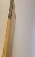 The Collected Letters of Thomas and Jane Welsh Carlyle