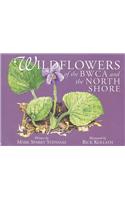 Wildflowers of Bwca and the North Shore